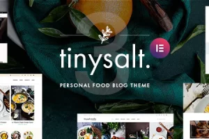 TinySalt v3.2.0-个人食品博客WordPress主题