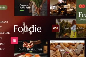 Foodie v1.0-食品和葡萄酒元素Multiskin WordPress主题