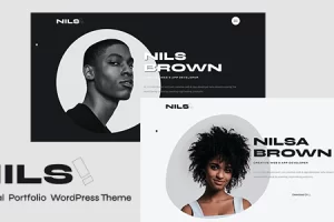 Nils v1.0-个人档案WordPress主题