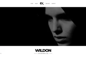 Wildon-即将推出的模板