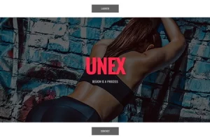 Unex-在建模板