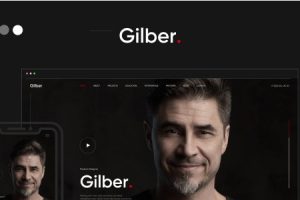 Gilber v1.0.1-个人简历WordPress主题