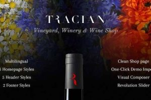 Tracian v1.6-葡萄酒WordPress主题