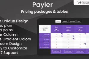 Payler v2.0 – 定价包和表格