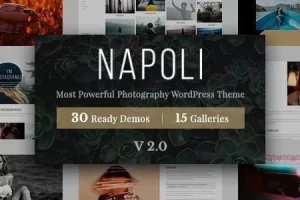 Napoli v2.3.0 – 摄影 WordPress