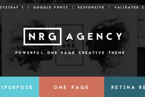 NRAgency v1.9.1 – 创意单页代理主题