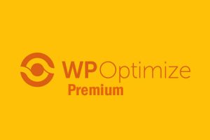 WP-Optimize Premium v3.2.10