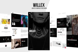 Willex v1.0 – Photography Portfolio WordPress 主题