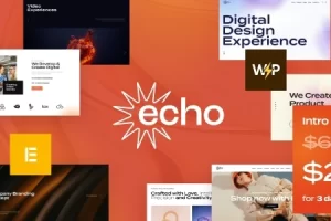 Echo v1.0 – 数字营销和创意机构 WordPress 主题