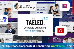 TAELED v1.2 – 业务咨询