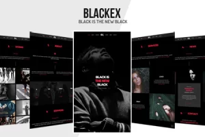 Blackex v1.2 – 摄影作品集模板