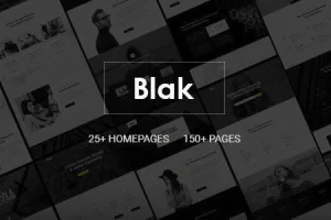 Blak – 响应式多用途 HTML5 网站模板