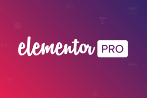 Elementor Pro v3.10.1