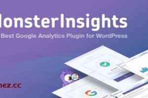 MonsterInsights Pro v8.12.0 – Google Analytics 插件