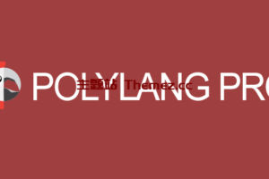 Polylang Pro v3.3.1 – 多语言插件