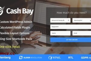 Cash Bay v1.1.3 – Loan & Credit Money WP 主题