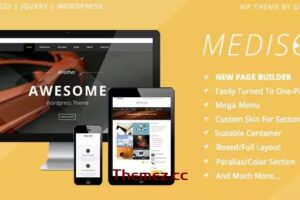 Mediso v1.3.7 – 企业/单页/博客 WP 主题