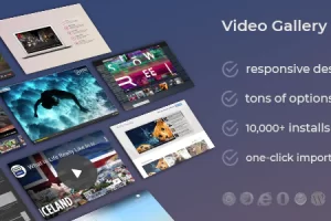 Video Gallery WordPress Plugin /w YouTube, Vimeo, Facebook pages v12.25
