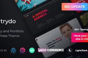 Trydo v1.4.0 – Creative Agency & Portfolio WordPress 主题