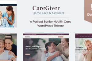 Giver v1.7 – 高级护理 WordPress 主题