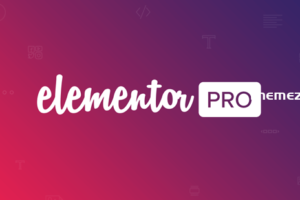 Elementor Pro v3.10.3