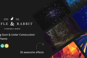 Rabbit – Coming Soon & Under Construction 雨果主题