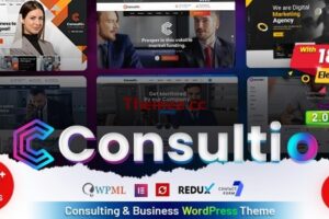 Consultio v3.0.0 – 咨询公司