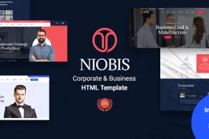 NioBis – 企业咨询模板