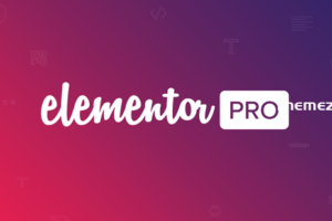 Elementor Pro v3.11.4