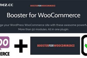Booster Plus for WooCommerce v6.0.4