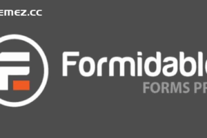 Formidable Forms Pro v6.1.1