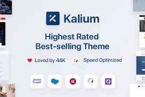 Kalium v3.9 – 专业创意主题