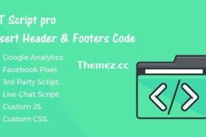 HT Script Pro v1.1.0 – 插入头部和底部代码的插件