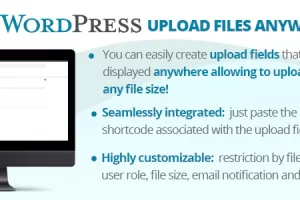 WordPress Upload Files Anywhere v2.5