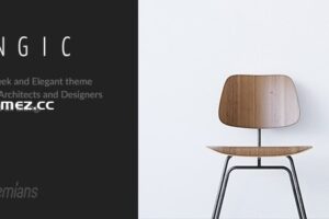 Engic v2.3.11 – 时尚的多用途响应式 WordPress 主题