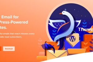 Mailpoet Premium v​​4.21.0 – WordPress 插件