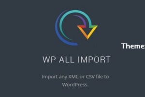 WP All Import Pro v4.8.1