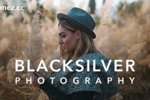 Blacksilver v8.9.9 – WordPress 摄影主题