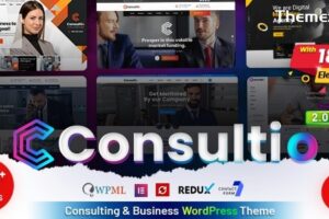 Consultio v3.1.0 – 企业咨询