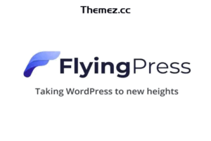 FlyingPress v4.6.5 – 将 WordPress 推向新高度