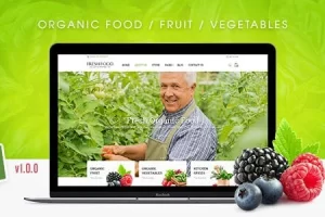 Fresh Food v1.0.1 – 有机食品/水果/蔬菜电子商务 Shopify 主题