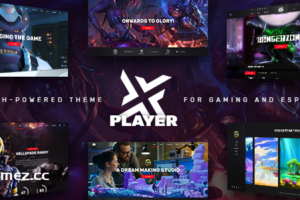 PlayerX v2.1 – 适用于游戏和电子竞技的高性能主题