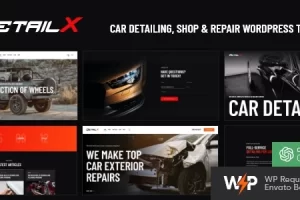 DetailX v1.0 – 汽车美容、商店和维修 WordPress 主题