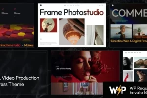 Frame v1.2.0 – 照片和视频制作 WordPress 主题