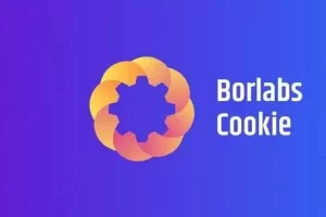 Borlabs Cookie v2.2.67 – GDPR 和 ePrivacy WordPress Cookie 选择加入解决方案