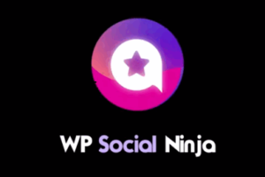 WP Social Ninja Pro v3.11.0