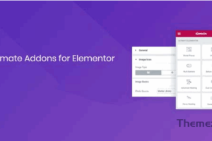 Elementor 终极插件 v1.36.22
