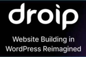 Droip v1.0.0 – 适用于 WordPress 的无代码网站构建器