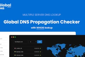 Global DNS v2.6.0 -多服务器 – DNS 传播检查器 – WP