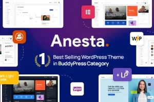 Anesta v1.1.1 – 内联网、外联网、社区和 BuddyPress WordPress 主题